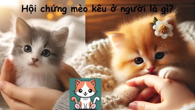 Hội chứng mèo kêu ở người là gì?