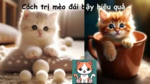 Cách trị mèo đái bậy hiệu quả