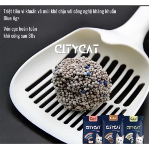 Cát Vệ Sinh Cho Mèo CityCat 8L – Khử Mùi Hiệu Quả, Vón Cục Xuất Sắc 🐾